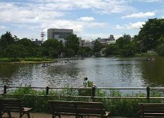 千葉公園　ボート池